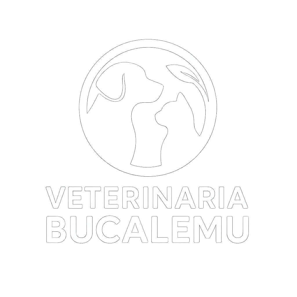 Veterinaria Bucalemu